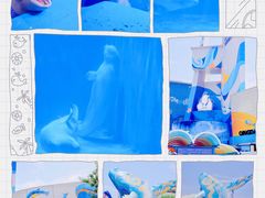 -海合安青岛极地海洋公园