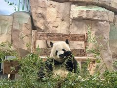 -无锡动物园·太湖欢乐园