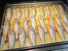 -荣家黄鱼面(前滩太古里店)