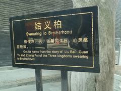 -关林