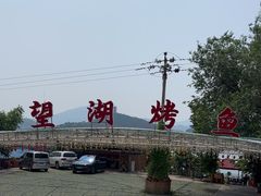 -望湖烤鱼