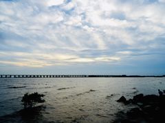 -宝安西湾红树林湿地公园