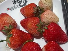 -初色海鲜自助(万丰路店)