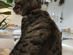 -小时光咖啡馆(北锣鼓巷店)