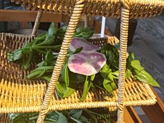 -手选潮汕鲜牛肉火锅(二七广场店)