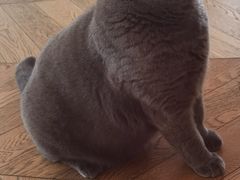 -Me Coffee下午茶艺术空间