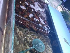 -聚盛源蒸汽海鲜火锅烤肉自助(巨川金海岸购物广场店)