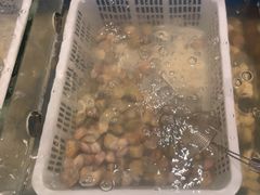 -安蒂娅·海鲜自助餐厅(安蒂娅美兰酒店)