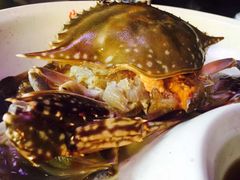 -十碗头(诚信路店)