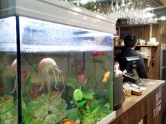 -面对面