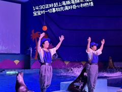 -南昌融创海世界