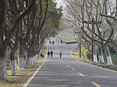-宜兴龙背山森林公园