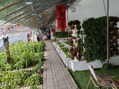 -北戴河集发农业梦想王国