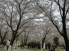 -堤角公园