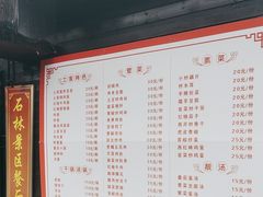 -梭布垭石林景区