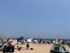 -日照海滨国家森林公园