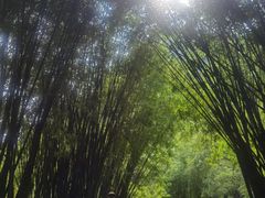 -英西峰林·洞天仙境