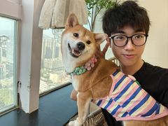 -共舞时光猫咖·狗咖(新街口店)