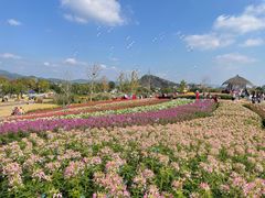 -径山花海