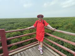 -北海金海湾红树林生态旅游区