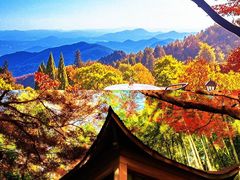 -莫干山风景区
