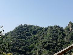 -大岭沟猕猴桃谷风景区