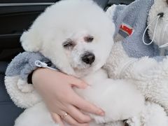 -熊小胖宠物生活馆(天华园店)