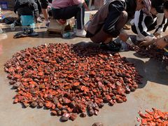 -宋记冕宁土菜馆(海门渔村二店)