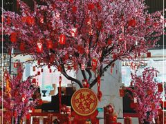 -中山利和希尔顿酒店