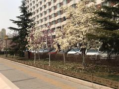 -北京京伦饭店