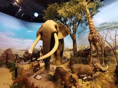 -陕西自然博物馆