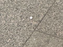 -在海一方公园