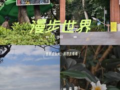 -火炉山森林公园