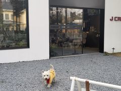 -J Create城市露营咖啡·简餐·宠物(上海动物园店)