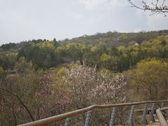 -白水寺森林公园