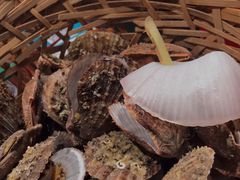 高压锅扇贝-蚝堡海鲜·威海菜·海肠捞饭·烧烤·亚洲吃蚝公司(幸福门店)