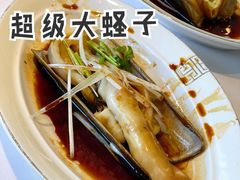 -开海·红岛海鲜虾水饺(石老人店)
