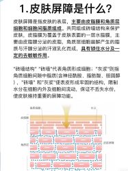 -Cream88颜皮肤管理中心