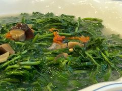 上汤枸杞叶-姚林轩