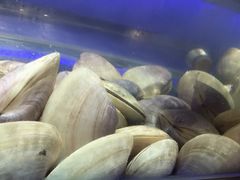 -V-ONE西雅图海鲜自助餐厅(仓山万达广场店)