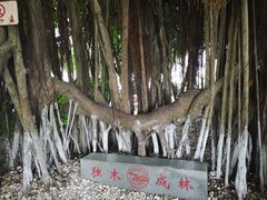 -胡里山炮台