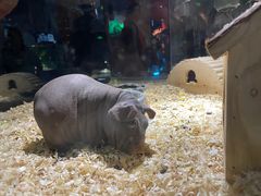 -顺德南宏海立方海洋公园