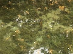 -陶然饺子城(奥体中路店)