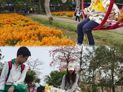 -广东花都香草世界旅游度假区