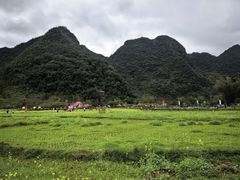 -靖西鹅泉风景区