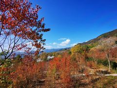-塔川景区