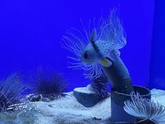-石家庄海洋公园