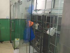 -半岛宠物医院24小时(科华中路店)
