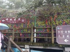 -老君山风景名胜区