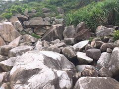 -广东惠东海龟国家级自然保护区